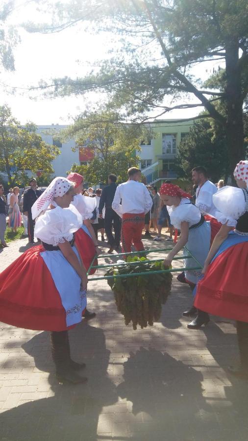 Za Vodou Konuk evi Moravská Nová Ves Dış mekan fotoğraf